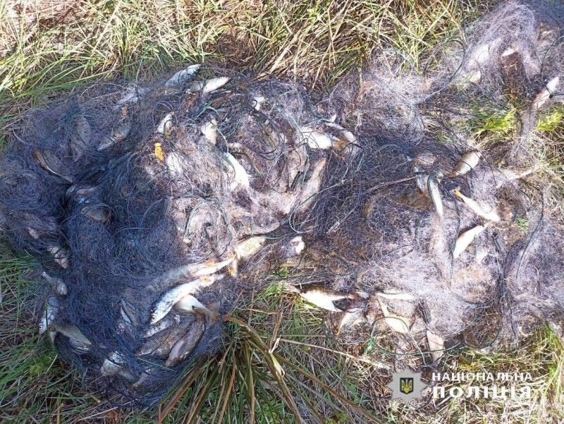 Фото: Нацполіція у Волинській області.