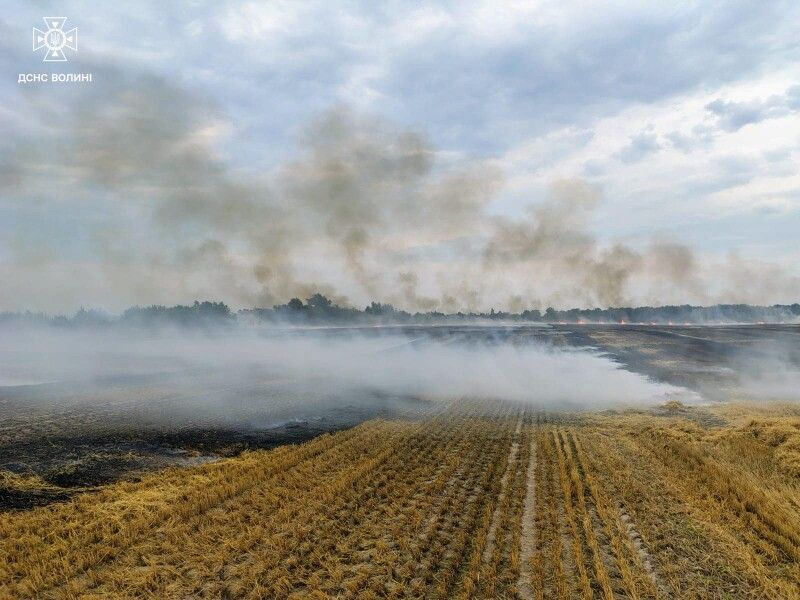 Фото: ДСНС Волині.