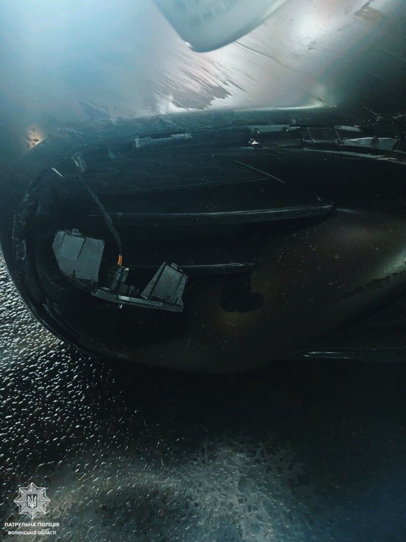 Фото: ДСНС Волині.