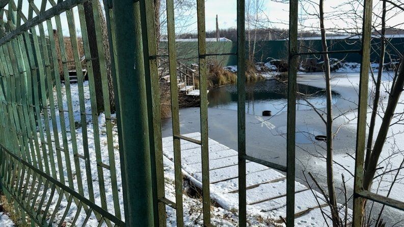 Форелеве господарство, Оконськ, січень 2026 року. 