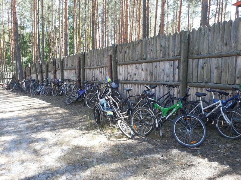 "Коні" на припоні.