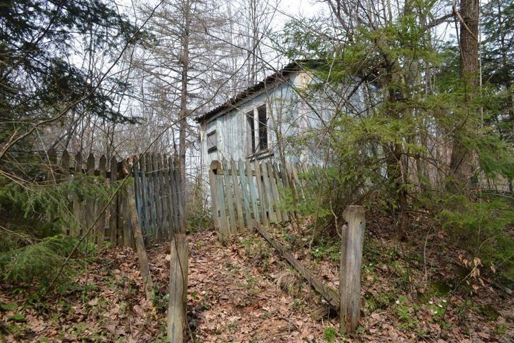 Будинок пасічника наразі геть занедбаний.