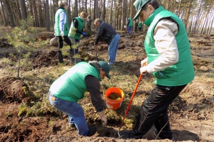 Працівники Любешівської райдержадміністрації допомагали лісівникам