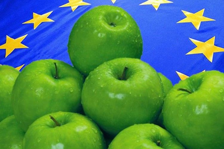 Українськими яблуками смакують у Європі