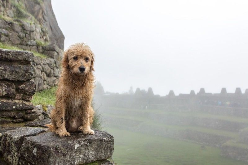Невже це прощання із biathlon.com.ua? 
