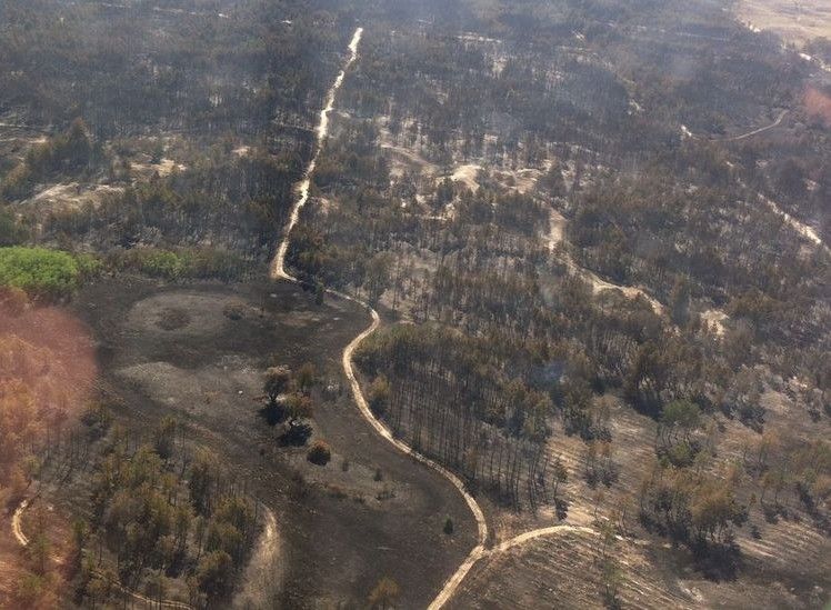 Наразі пожежу локалізували.