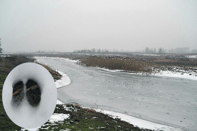 За день вдалося побачити сліди диких кіз і полюбуватися  замерзлою річкою Стохід.