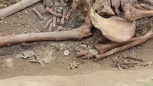 Серед кісток знайшли гудзики часів Другої світової війни.