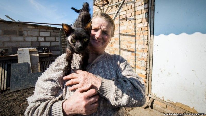 «Привіт із Водяного». Баба Зоя зі своїм котом Тімкою. Кіт був поранений та зараз хворіє, жінка як може лікує його