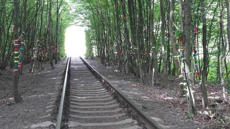 Тунель кохання щороку відвідує понад 20 тисяч туристів.