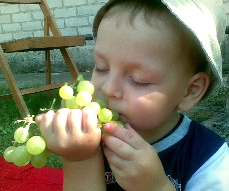 Онук Данилко смакує бабусиним урожаєм.